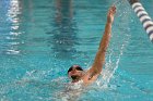 Swimming vs Babson  Wheaton College Swimming vs Babson College. - Photo By: KEITH NORDSTROM : Wheaton, Swimming, Babson